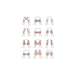 ReaTape BRA - Image 3